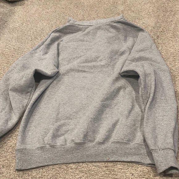 UMD UNIVERSITY OF MARYLAND TERRAPINS GREY CHAMPION HOODIE SWEATSHIRT MEDIUM - Picture 3 of 4